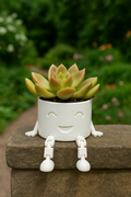 Small Plant Holder